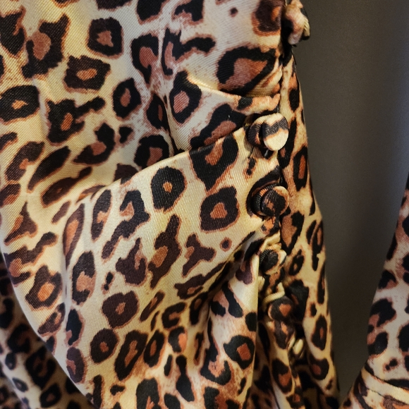 Zara Brown Leopard Long Sleeve Dress - Picture 6 of 11